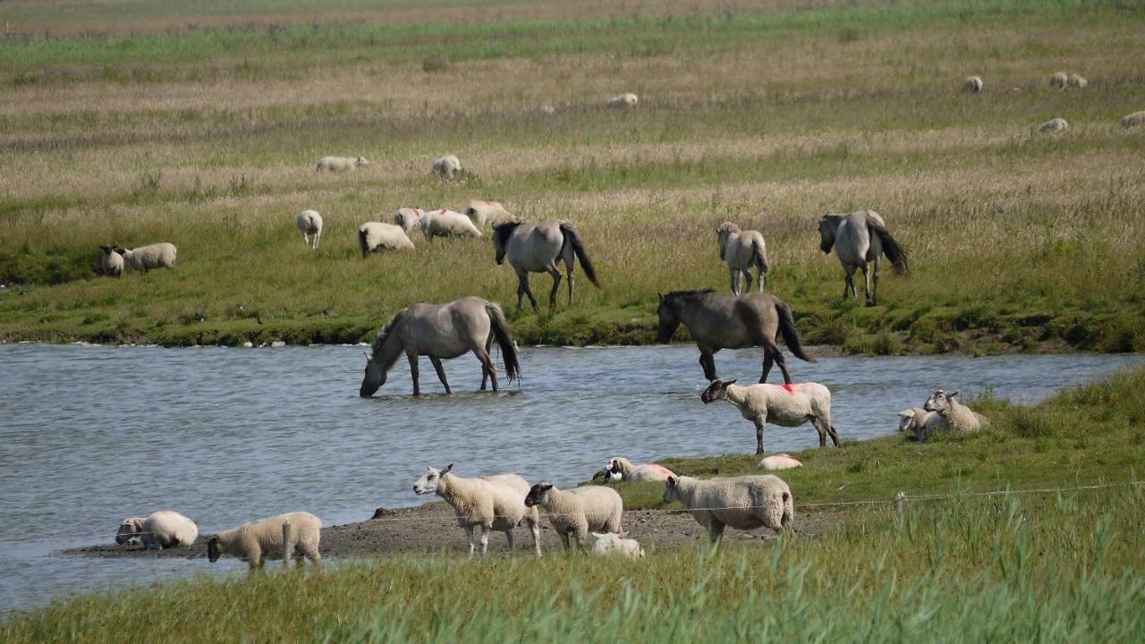 Wattenblick Büsum Exteriér fotografie